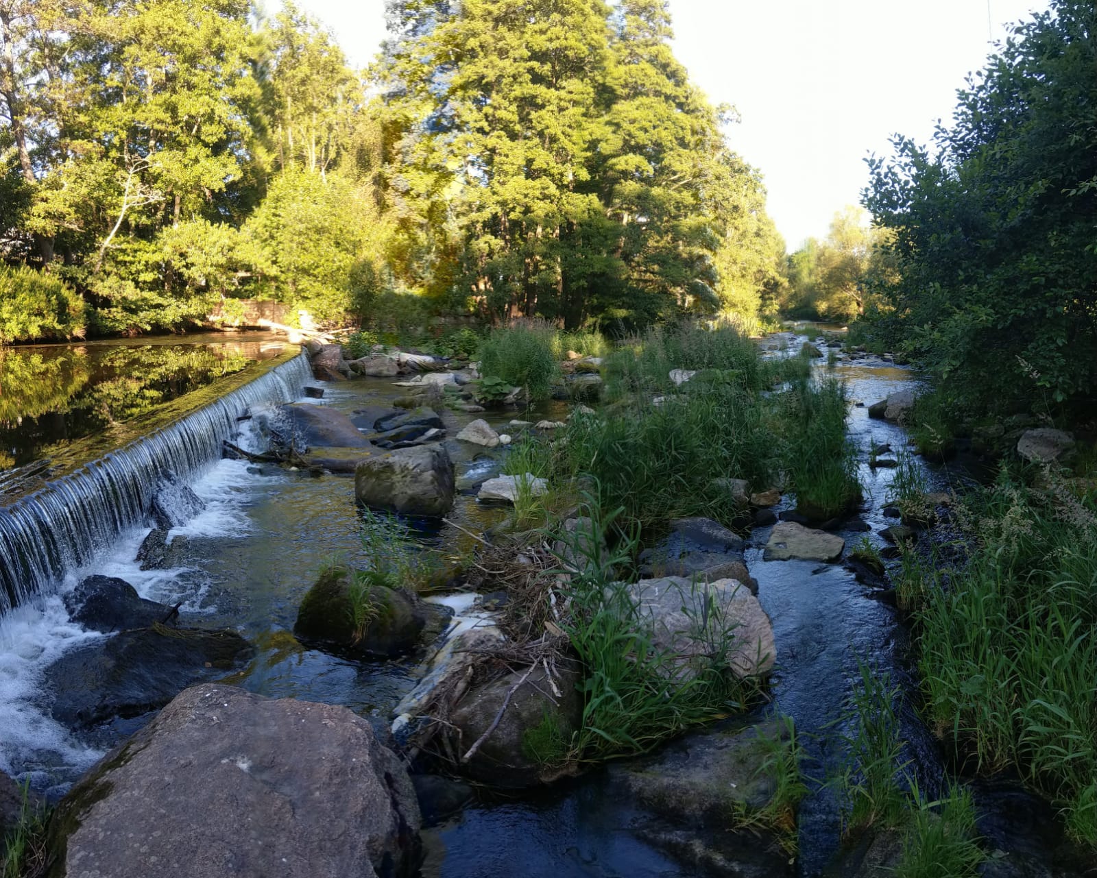 PHOTO-2018-09-06-20-22-18 (1).jpg